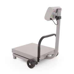 BÁSCULA RECIBO MÓVIL TORREY 0FS500 FS | Báscula Recibo Móvil 500 Kg Pantalla Iluminada | Uso Rudo | Bodegas Almacenes