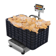 BÁSCULA PLATAFORMA RHINO BAPAG-200+I-PAG | Báscula Plataforma a Prueba de Agua | 200 KG | Acero Inoxidable | Carnicerías Pollerías Fruterías