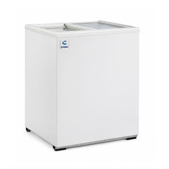 CONGELADOR CRIOTEC CCH-05 | Congelador Horizontal Paletero | 4 Pies cúbicos | 2 Puertas deslizables | Paletería Heladería Tienda de Abarrotes