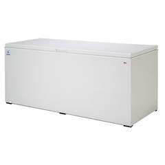 CONGELADOR CRIOTEC CTCC-25 | Congelador Horizontal | 22.7 Pies Cúbicos | Puerta Sólida | Carnicería Pescadería Restaurante