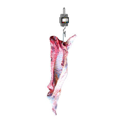 BÁSCULA COLGANTE RHINO BAC-300 | Báscula Colgante 300 kg Colgante | Todo Negocio | Restaurante Hoteles