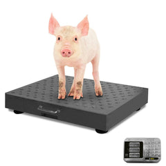 BÁSCULA PLATAFORMA RHINO BAPIC-300 | Báscula Plataforma 300 Kg | Pesa Kilos Libras | Uso Comercial Verduras Frutas
