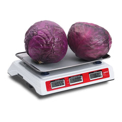 BÁSCULA RHINO VINS-40 | Báscula 40 Kg Mostrador | Función Conteo de Piezas | Batería Recargable 200 Horas | Uso Comercial Tienda Abarrotes