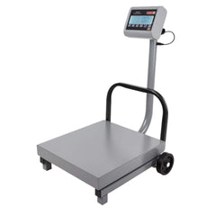 BÁSCULA RECIBO TORREY FS-250 0FS250 | Báscula Recibo 250 Kg Plataforma | Móvil | Uso Rudo | Bodegas Almacenes