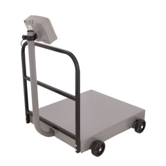 BÁSCULA RECIBO TORREY 0PCP500-AI PCP| Báscula Recibo 500 kg Peso Precio | Plataformas Uso Rudo | Almacén Comedores Restaurante