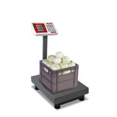 BÁSCULA PLATAFORMA RHINO BAPLE-100 | Báscula Plataforma 100 Kg | Plegable | Superficie Antiderrapante | Verdulería Supermercado Minisuper